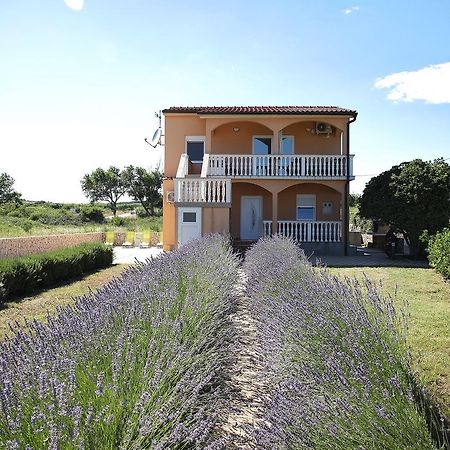 Apartment Sapavac Vir Εξωτερικό φωτογραφία